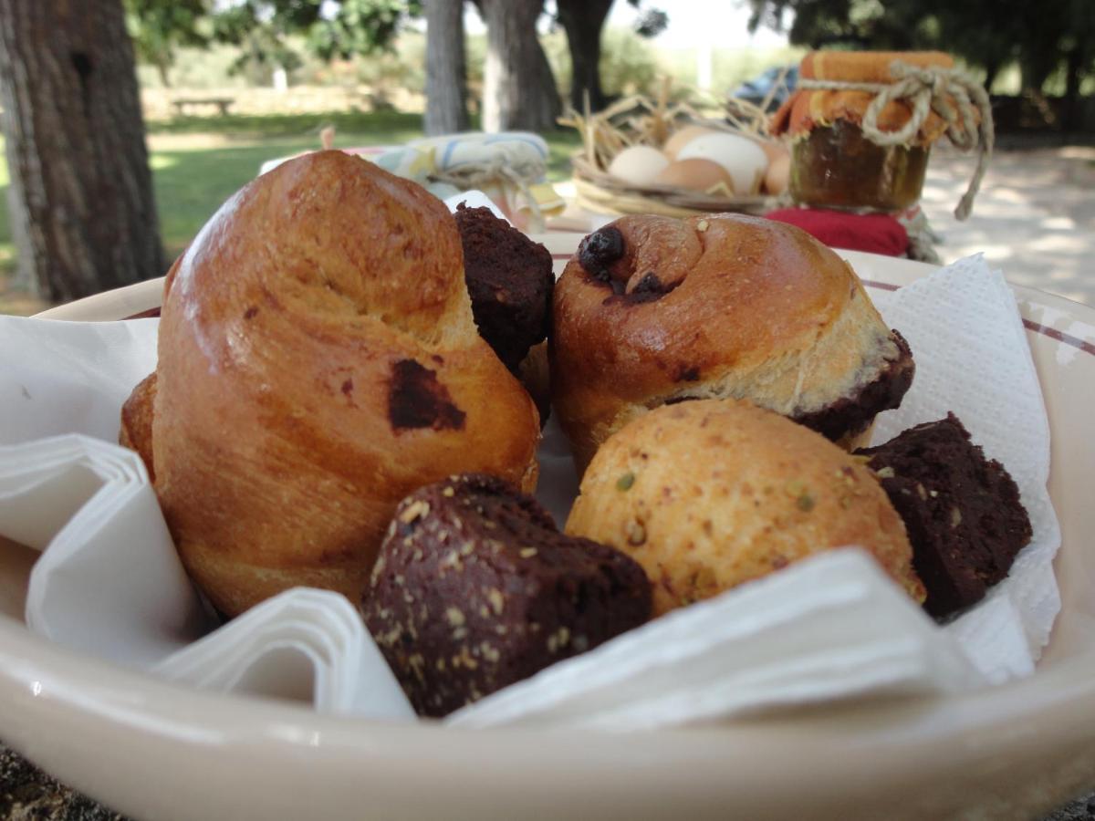 Cefalicchio B&B Canosa di Puglia Dış mekan fotoğraf