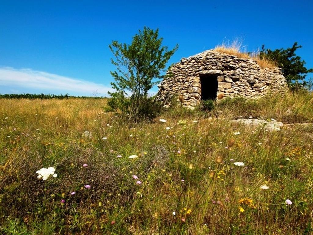 Cefalicchio B&B Canosa di Puglia Dış mekan fotoğraf