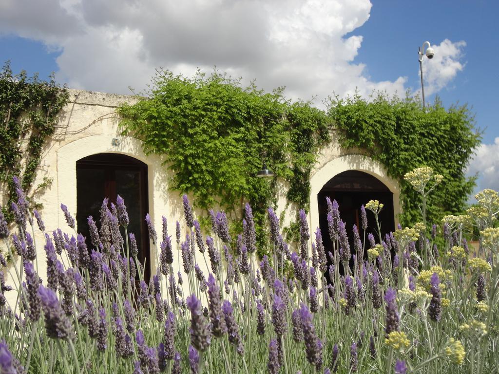 Cefalicchio B&B Canosa di Puglia Dış mekan fotoğraf
